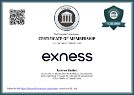 Comprehensive Review of Exness Forex Broker Comprehensive Review of Exness Forex Broker